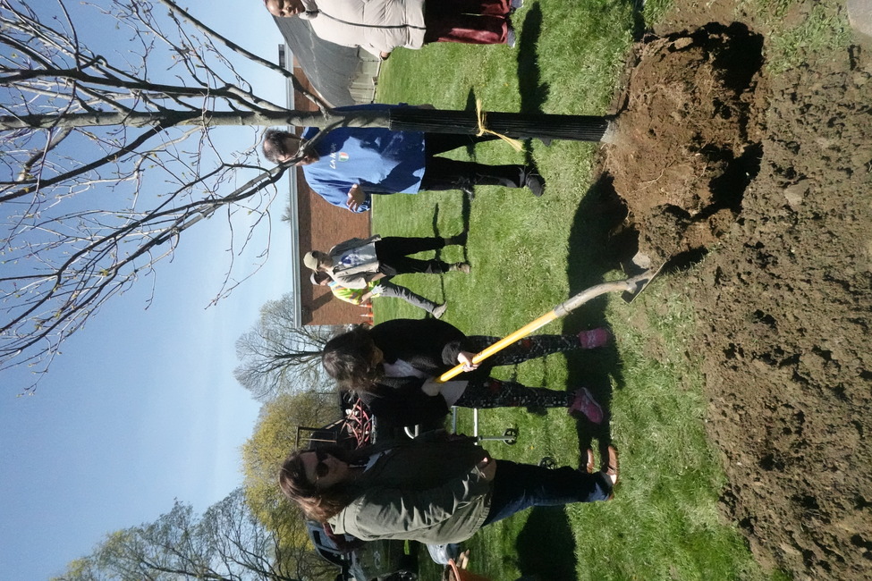 Helping hands plant a tree at People Inc.