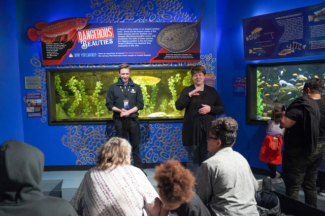Sign language interpreters at the aquairum