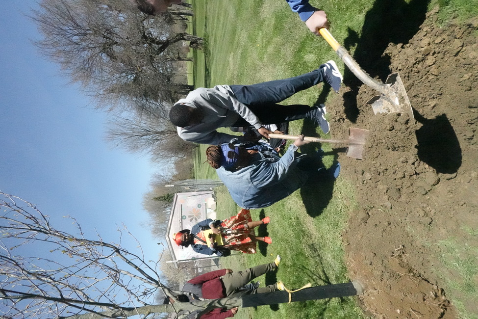 Learning to plant a tree