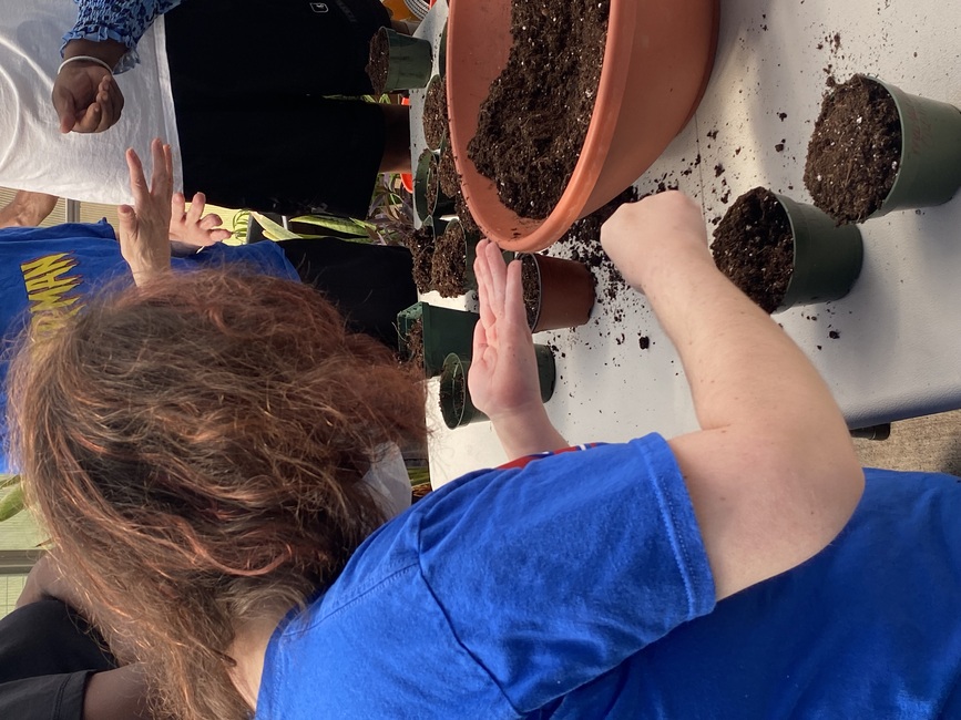 Each person selected which seeds to plant.