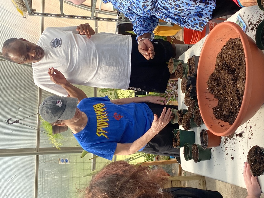 Adding soil on top of the seeds.