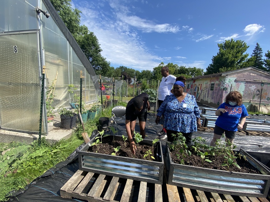 Identifying the plants in the new raised beds.