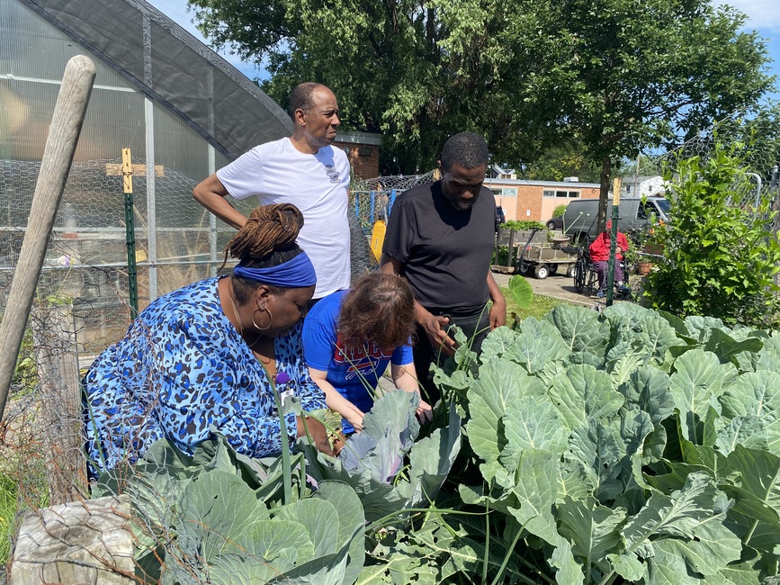 Weeding the vegetables.