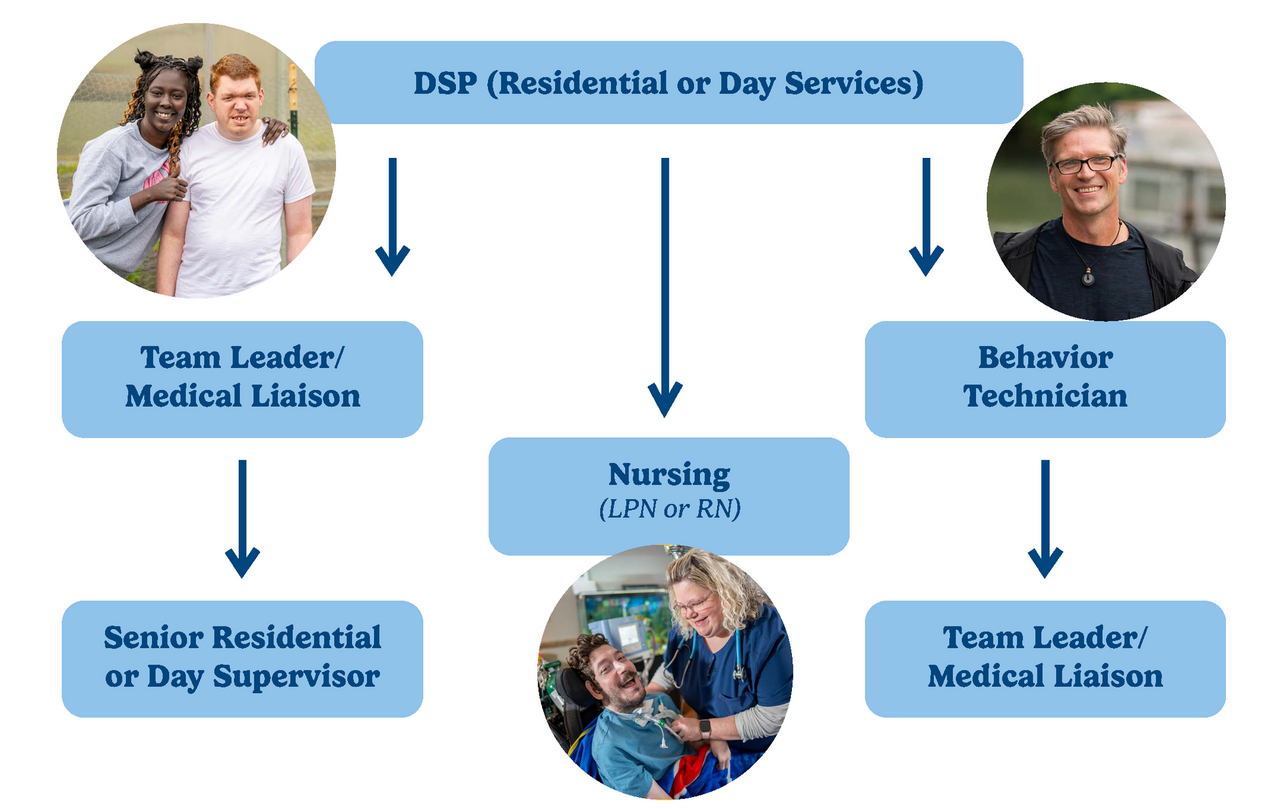 DSP-Career-Path.png